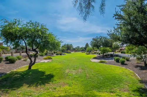 Bel Fleur in Litchfield Park, Arizona
