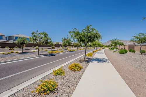 Canyon Views in Litchfield Park, Arizona