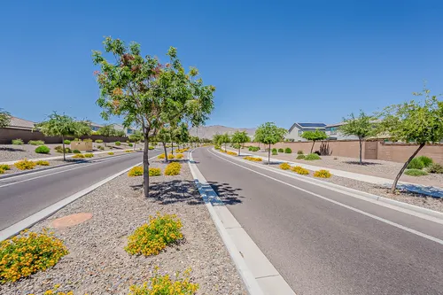 Canyon Views in Litchfield Park, Arizona