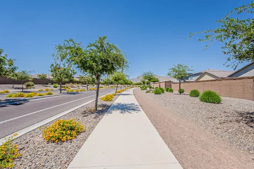 Canyon Views in Litchfield Park, Arizona