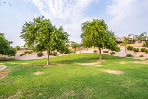 Palm Valley in Litchfield Park, Arizona