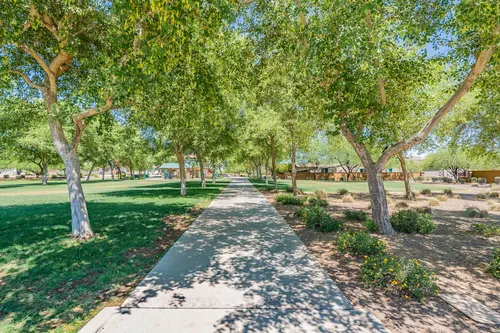 Sedella in Litchfield Park, Arizona