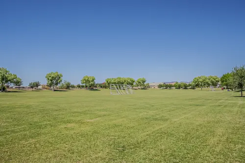 Windrose Zanjero Trails in Litchfield Park, Arizona