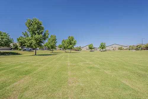 Windrose Zanjero Trails in Litchfield Park, Arizona