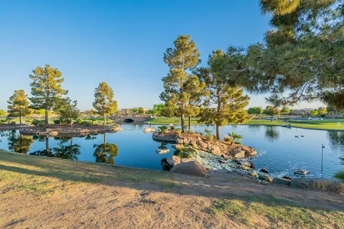 Maricopa Meadows in Maricopa, Arizona