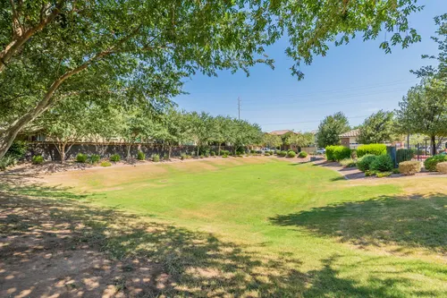 Dahlia Pointe in Mesa, Arizona