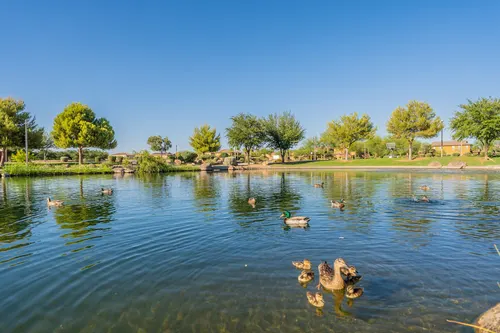 Element at Eastmark in Mesa, Arizona