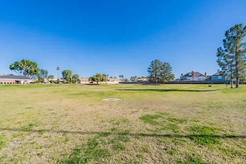 Forest Knoll in Mesa, Arizona