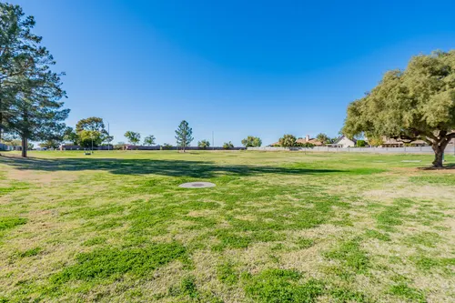 Forest Knoll in Mesa, Arizona