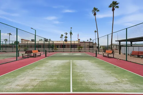 Holiday Palms in Mesa, Arizona