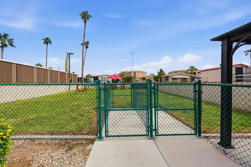 Holiday Palms in Mesa, Arizona