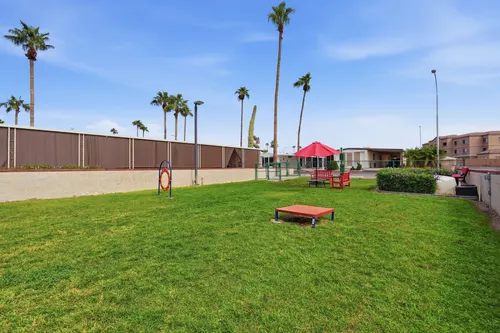 Holiday Palms in Mesa, Arizona