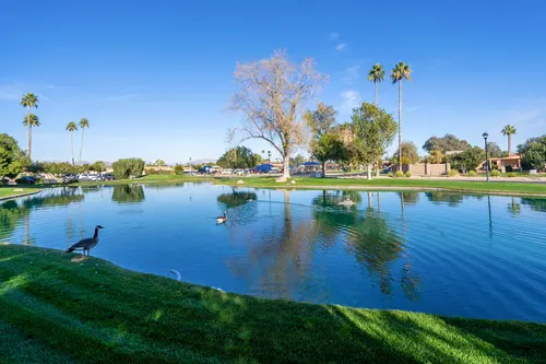 Leisure World in Mesa, Arizona