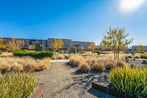Lunar Green Park in Mesa, Arizona