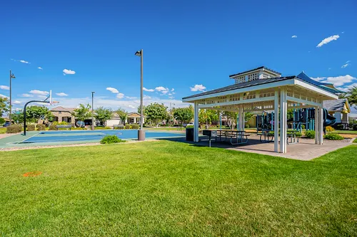Mulberry in Mesa, Arizona