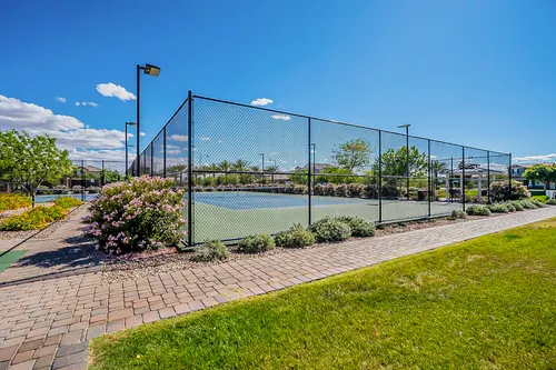 Mulberry in Mesa, Arizona