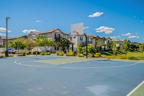 Mulberry in Mesa, Arizona