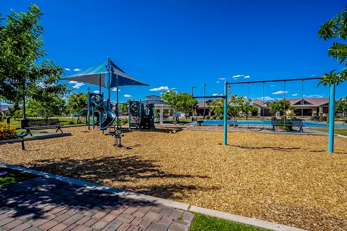 Mulberry in Mesa, Arizona