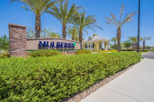 Mulberry in Mesa, Arizona