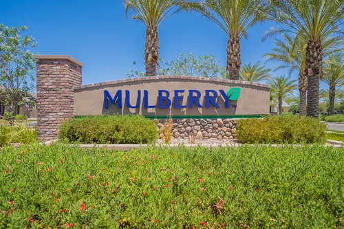 Mulberry in Mesa, Arizona