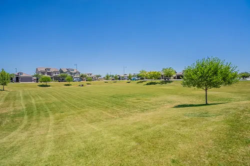 Mulberry in Mesa, Arizona