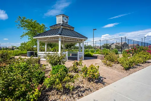 Mulberry in Mesa, Arizona