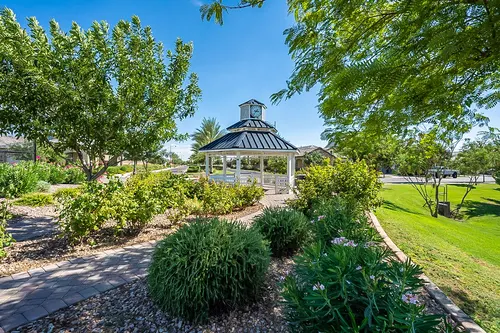Mulberry in Mesa, Arizona