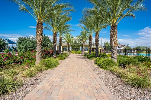 Mulberry in Mesa, Arizona