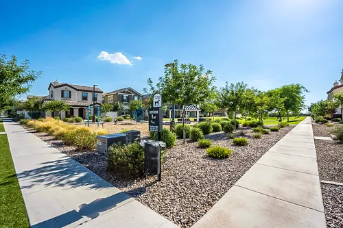 Mulberry in Mesa, Arizona
