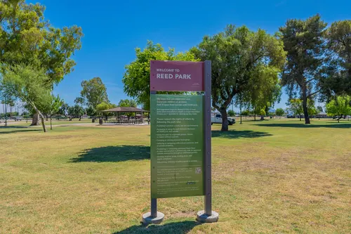 Reed Park in Mesa, Arizona