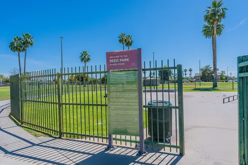 Reed Park in Mesa, Arizona