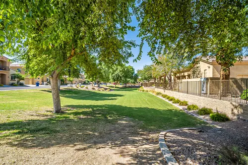 The Palms at Mesa in Mesa, Arizona