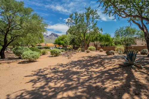 Desert Sky in Oro Valley, Arizona