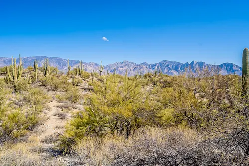 Honeybee Canyon in Oro Valley, Arizona