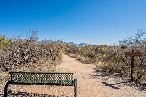 Honeybee Canyon in Oro Valley, Arizona