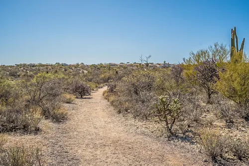 Honeybee Canyon in Oro Valley, Arizona