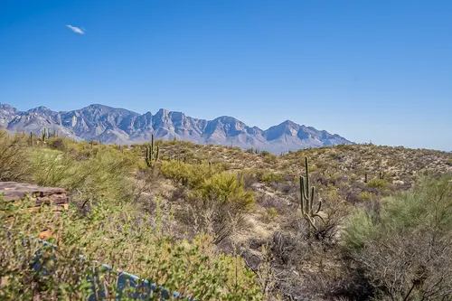 Honeybee Canyon in Oro Valley, Arizona
