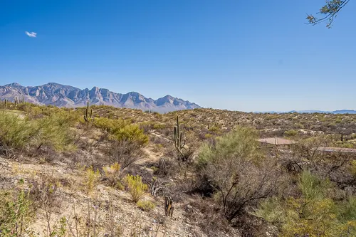 Honeybee Canyon in Oro Valley, Arizona