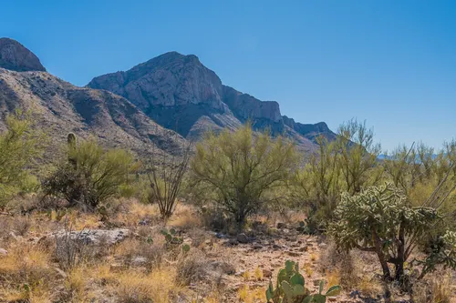 La Reserve in Oro Valley, Arizona