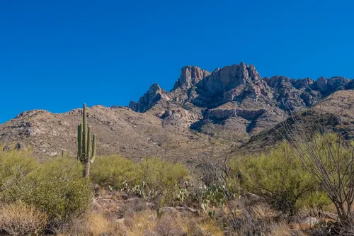 La Reserve in Oro Valley, Arizona