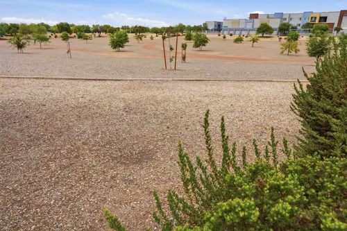 Roundtree Ranch in Peoria, Arizona