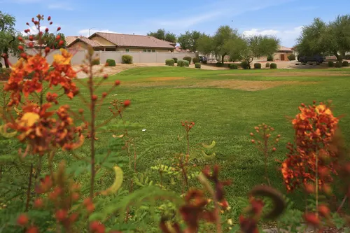 Roundtree Ranch in Peoria, Arizona
