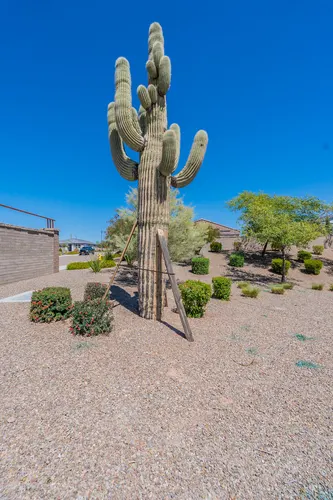 Sonoran Place in Peoria, Arizona