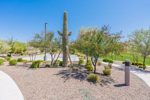 Sonoran Place in Peoria, Arizona