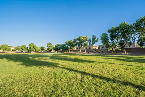Springer Ranch in Peoria, Arizona