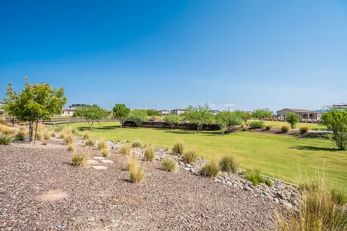 The Meadows in Peoria, Arizona