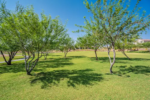 The Meadows in Peoria, Arizona