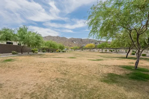 Avance in Phoenix, Arizona