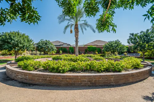 Cantata in Phoenix, Arizona