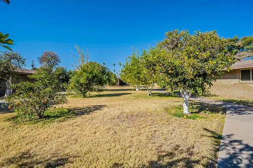 Citrus Manor in Phoenix, Arizona